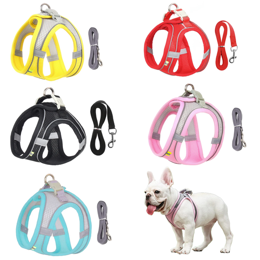 Dog Harness Leash Set for Small Dogs Adjustable Puppy Cat Harness Vest French Bulldog Chihuahua Pug Outdoor Walking Lead Leash