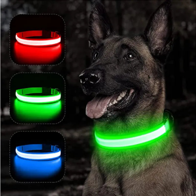 LED Light up Dog Collar Rechargeable Waterproof Glowing Dog Collars for Large Small Medium dogs