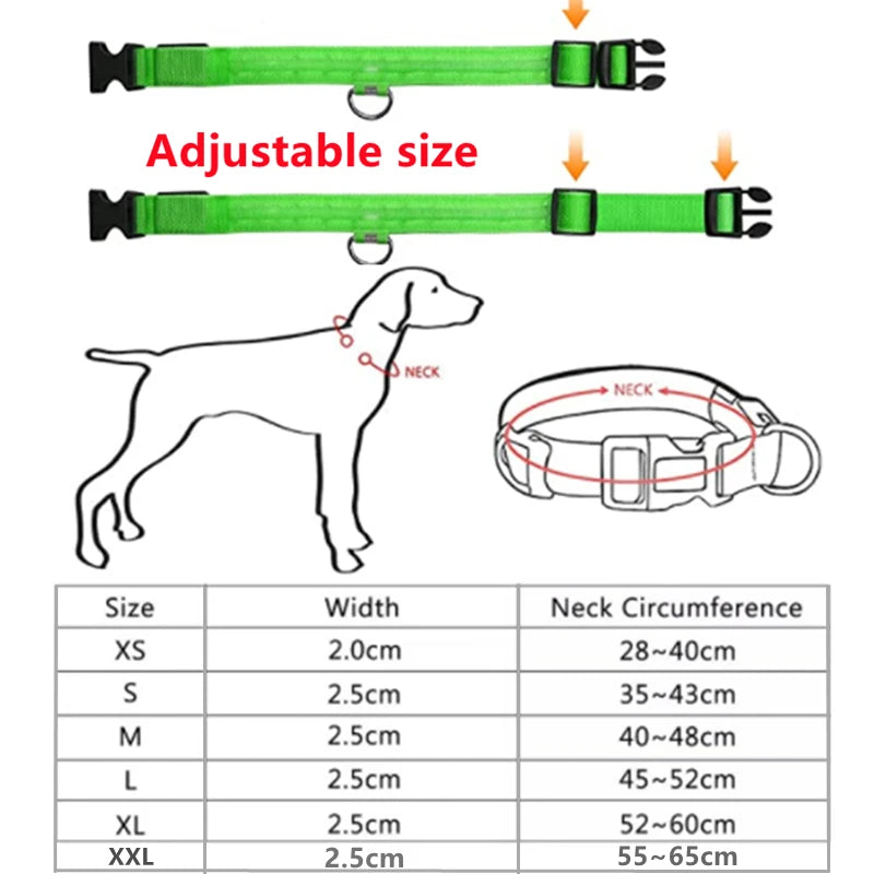 LED Light up Dog Collar Rechargeable Waterproof Glowing Dog Collars for Large Small Medium dogs