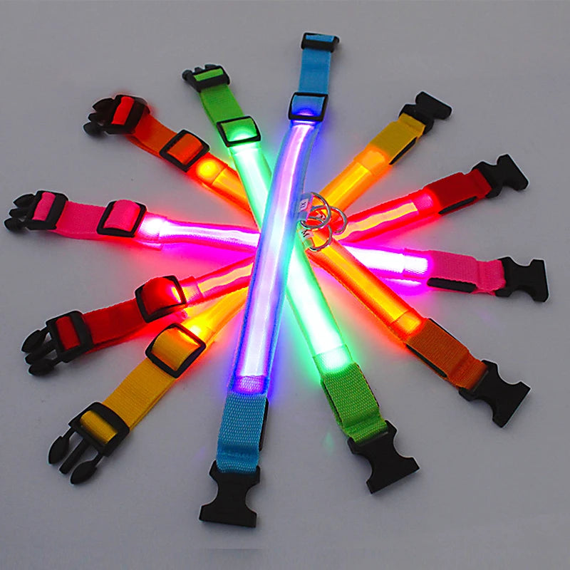 LED Light up Dog Collar Rechargeable Waterproof Glowing Dog Collars for Large Small Medium dogs