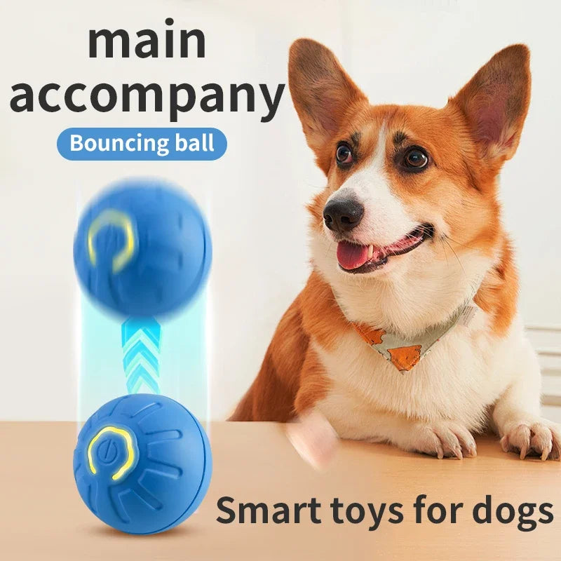 Self-Rolling Dog Ball Toys Automatic Bouncing  Vibrating Ball Interactive Toys for Dogs