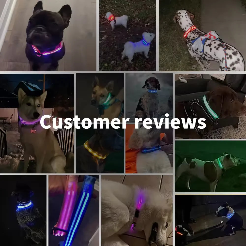 LED Light up Dog Collar Rechargeable Waterproof Glowing Dog Collars for Large Small Medium dogs