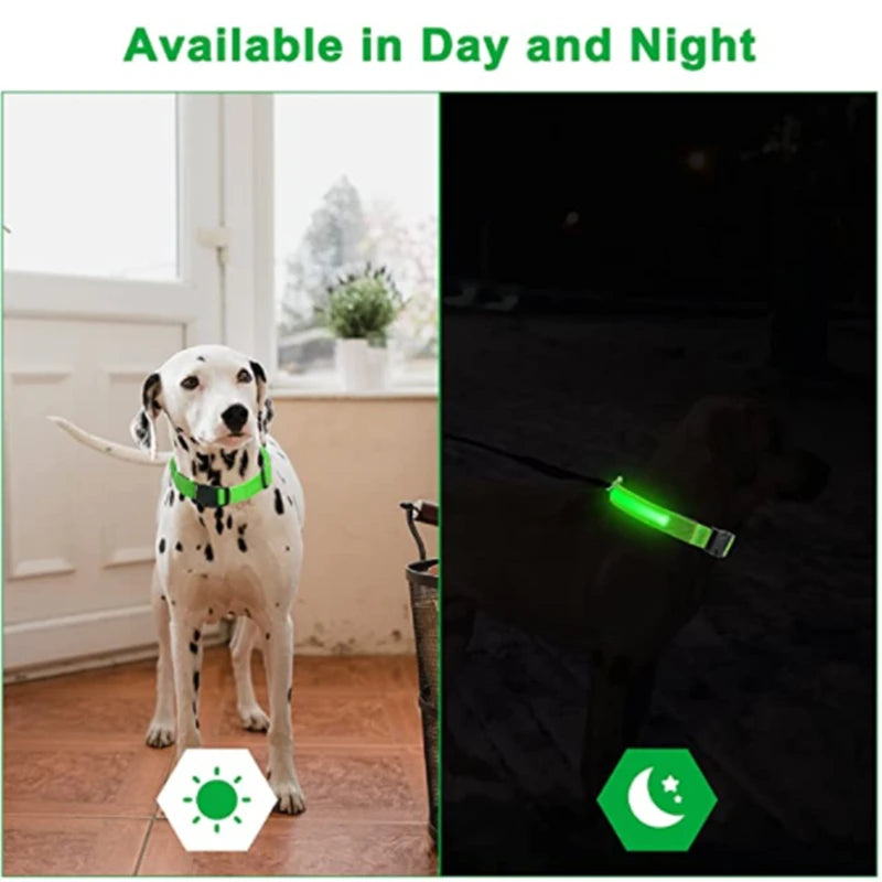 LED Light up Dog Collar Rechargeable Waterproof Glowing Dog Collars for Large Small Medium dogs