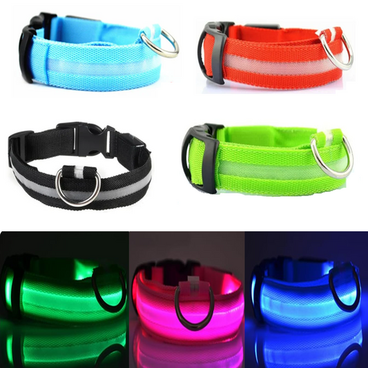 LED Light up Dog Collar Rechargeable Waterproof Glowing Dog Collars for Large Small Medium dogs