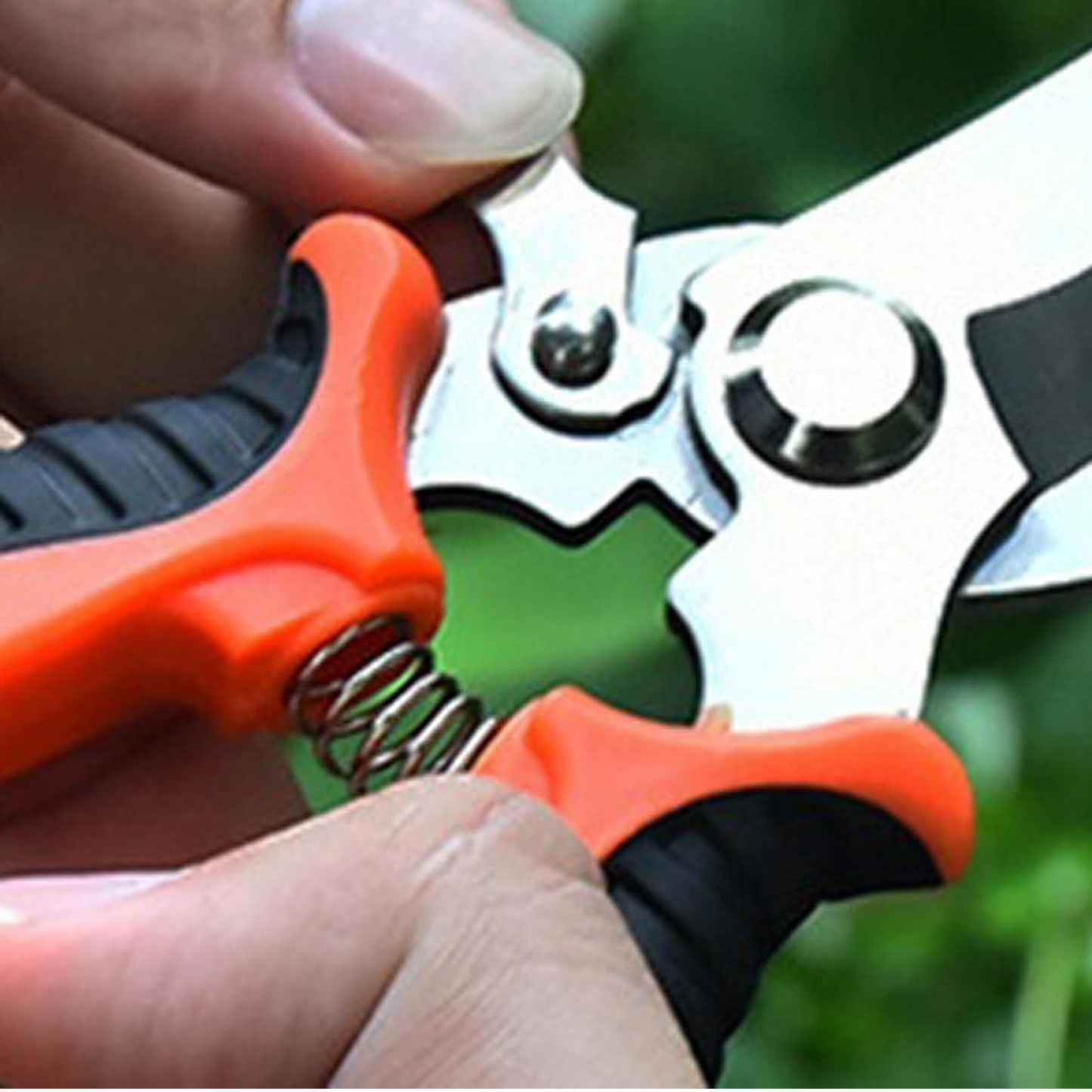 Garden Pruning Shears Stainless Steel Scissors Garden Sharp Clippers for Gardening Garden Tools