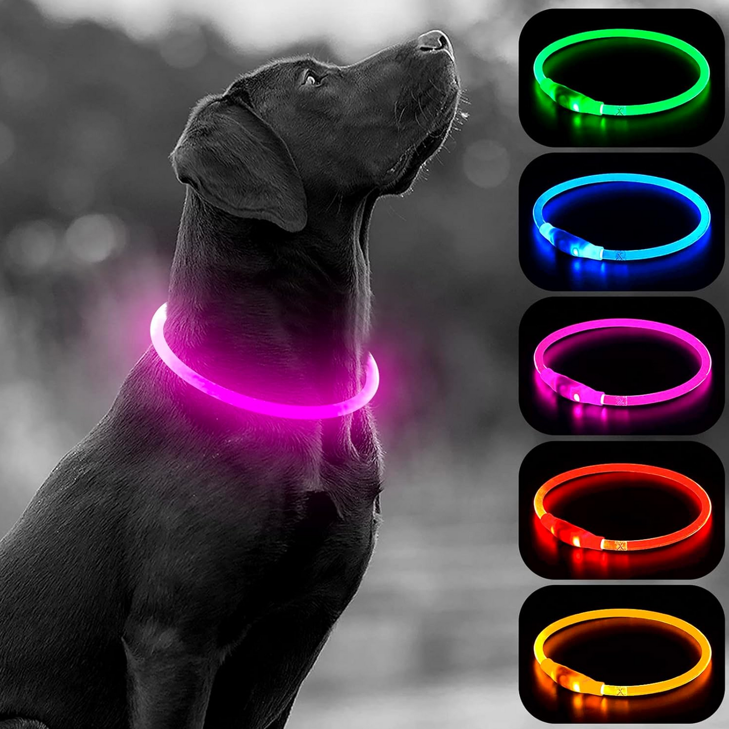 USB Rechargeable Light Up Dog Collars Glow in The Dark Dog Necklace for Your Dogs Walking at Night